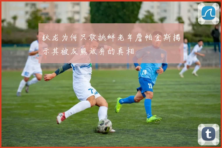 狄龙为何只敢挑衅老年詹帕金斯揭示其被灰熊放弃的真相