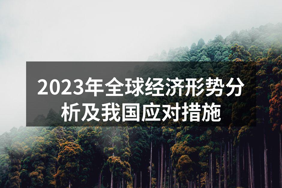 2023年全球经济形势分析及我国应对措施