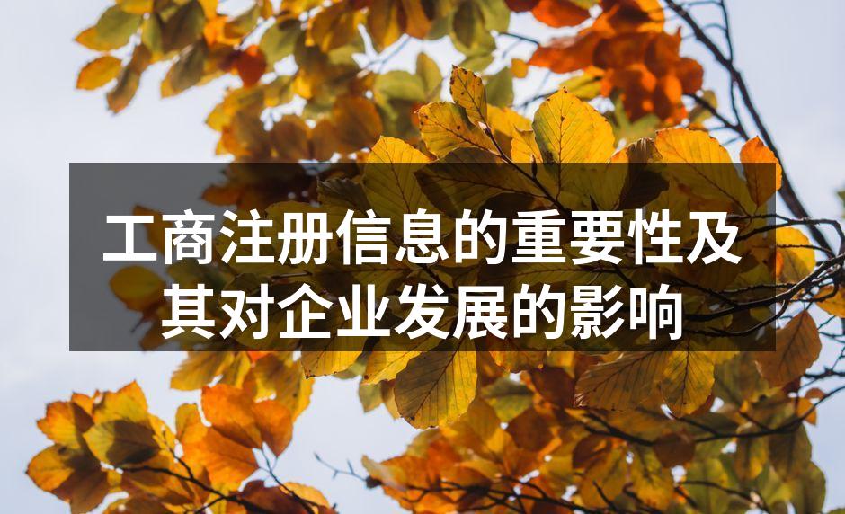 工商注册信息的重要性及其对企业发展的影响