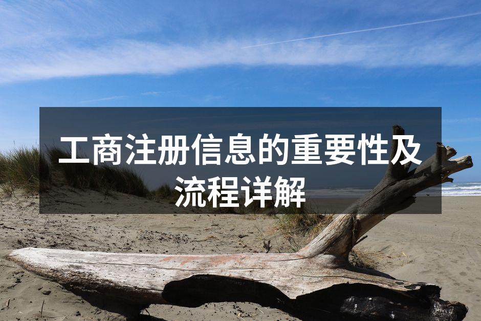 工商注册信息的重要性及流程详解