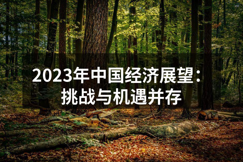 2023年中国经济展望：挑战与机遇并存