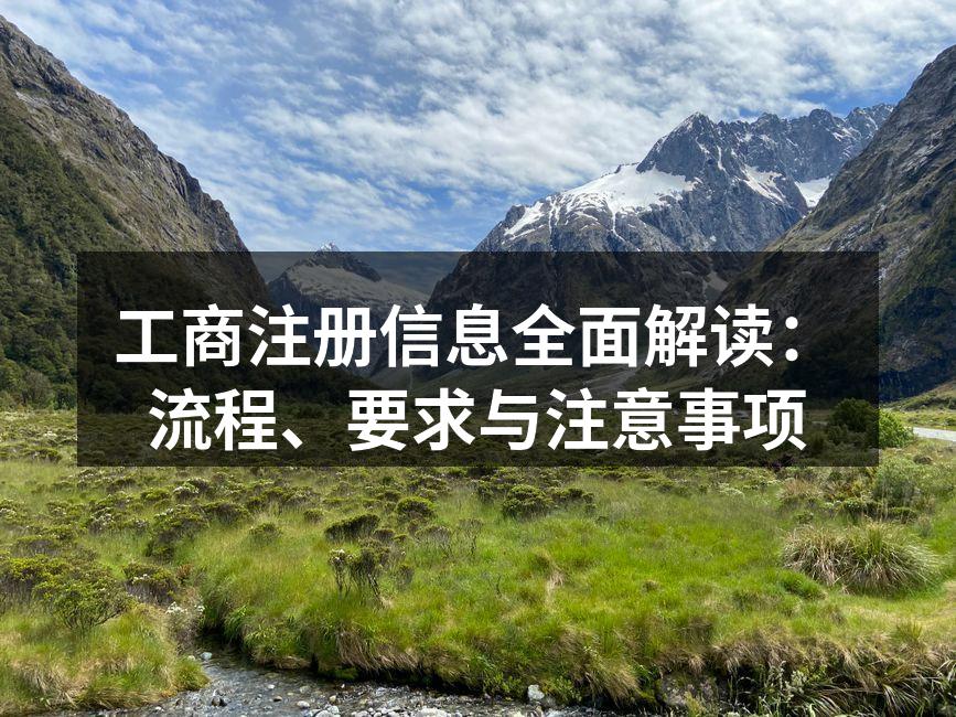 工商注册信息全面解读：流程、要求与注意事项